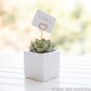 White 6cm planter with card holder (various designs)